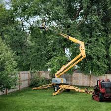 Mulching Services in Fairlawn, VA